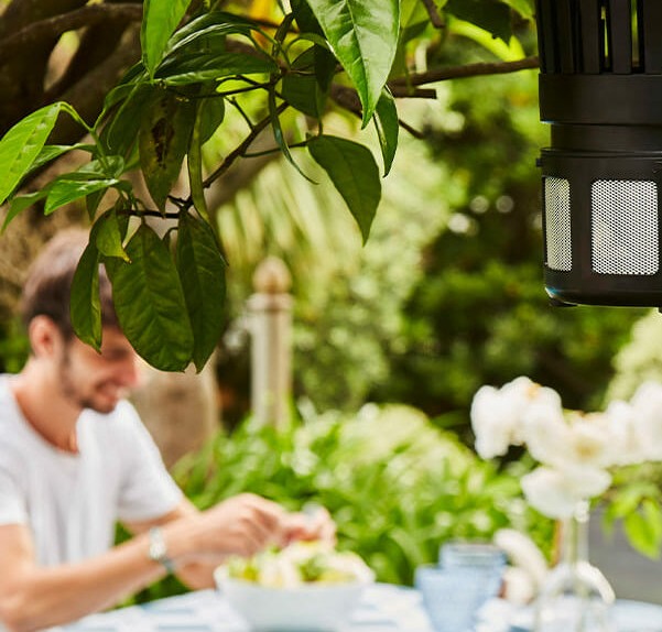 Bouclier olfactif naturel anti-nuisibles pour événements en extérieur