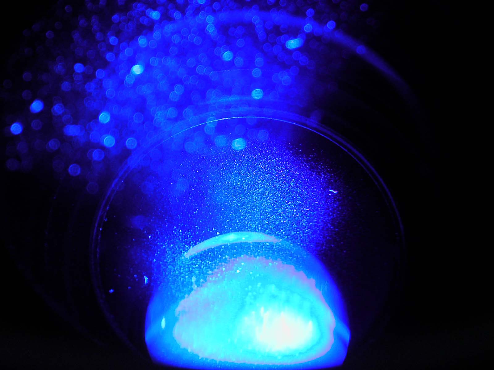 Scénographie olfactive et diffuseurs de parfum professionnels